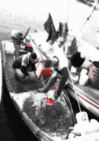 Fishermen